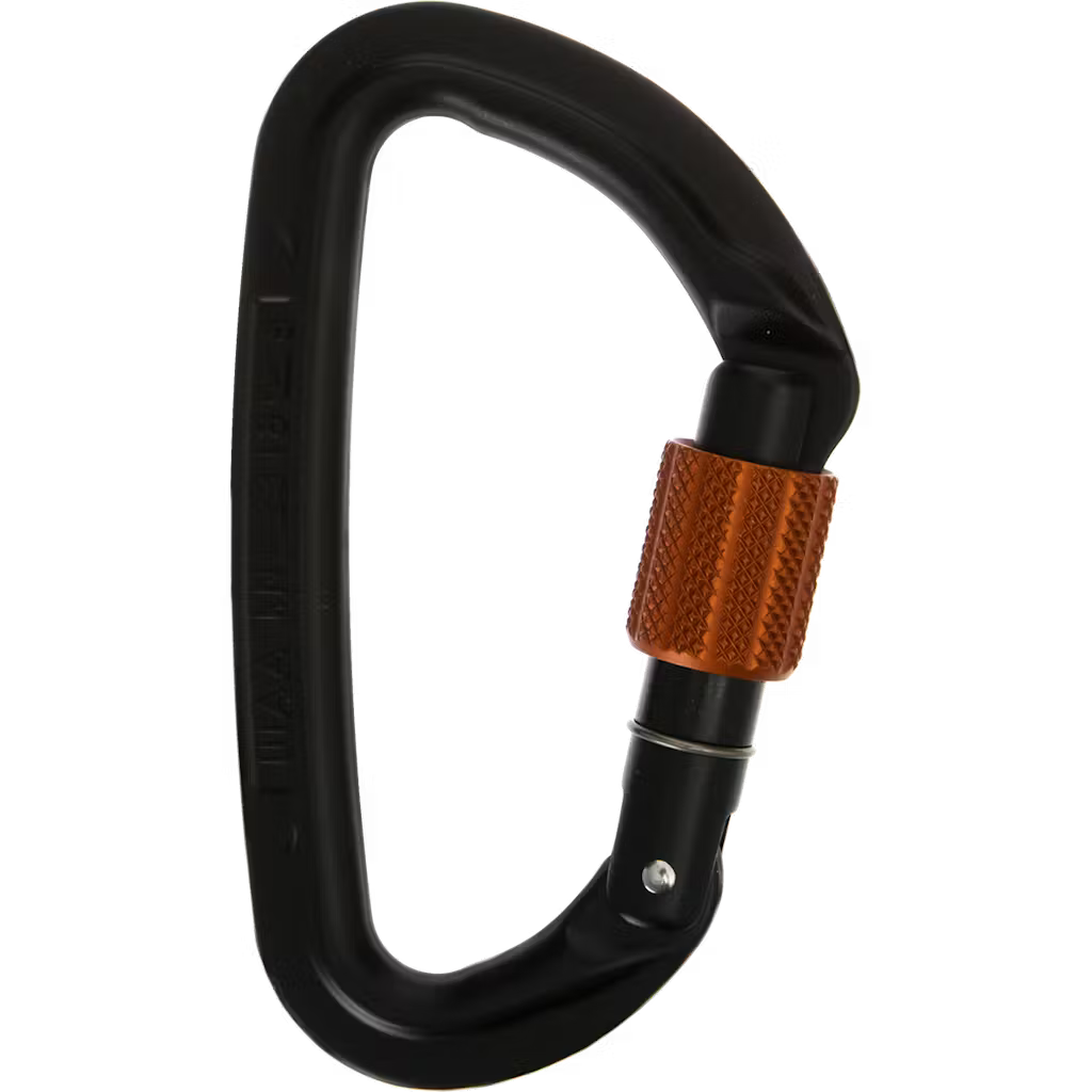 Session Screw Gate Locking Carabiner